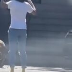 ¿Hizo bien el policía al disparar contra los pitbulls o debió actuar de otra forma?