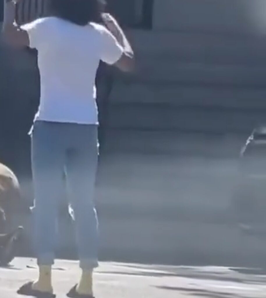 ¿Hizo bien el policía al disparar contra los pitbulls o debió actuar de otra forma?