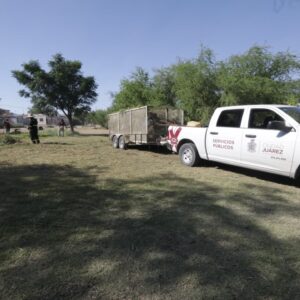 Realizan mantenimiento integral en el Parque Roma