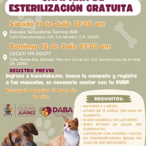 Continúa DABA acercando las esterilizaciones gratuitas
