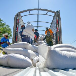 Entrega Estado 60 toneladas de maíz rolado a productores de Guadalupe y Práxedis G. Guerrero