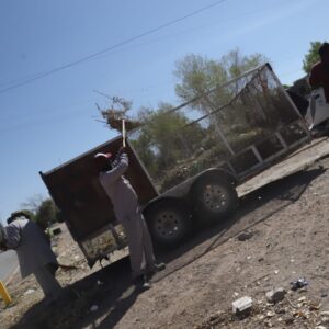 Realiza Parques y Jardines mantenimiento en parque lineal de Parajes del Sur
