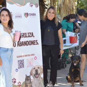 Realizó DABA varias actividades en favor de los animalitos este fin de semana